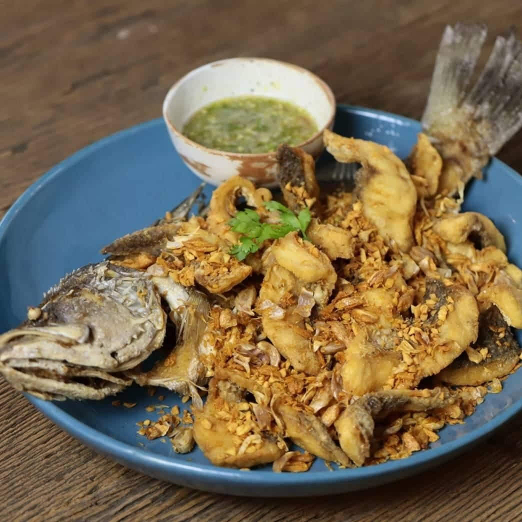 ชาวชล