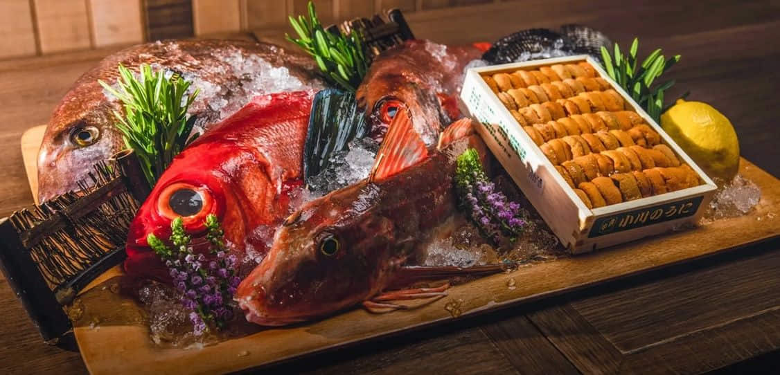 MAGURO