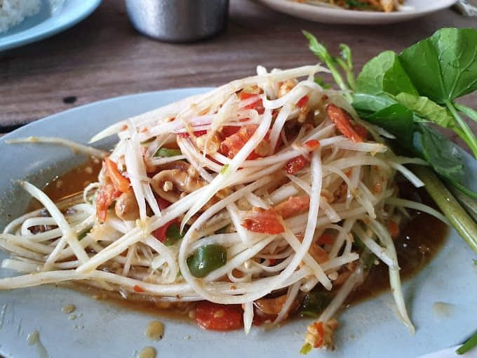 ร้านสวนร่มไม้