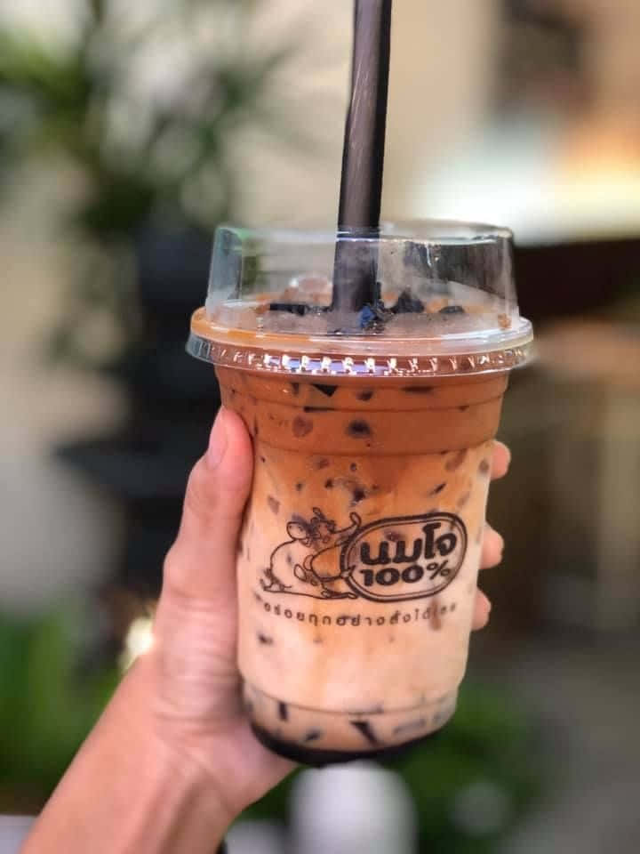 นมโจ
