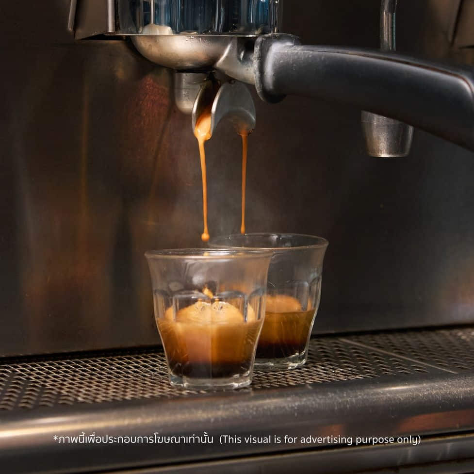 เดอะ คอฟฟี่ คลับ
