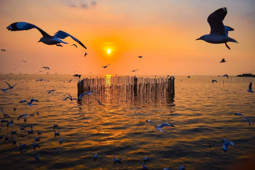 One day trip ใกล้กรุงเทพ สถานตากอากาศบางปู สมุทรปราการ