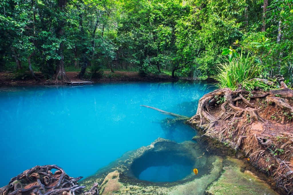 ที่เที่ยวกระบี่ คลองสระแก้ว