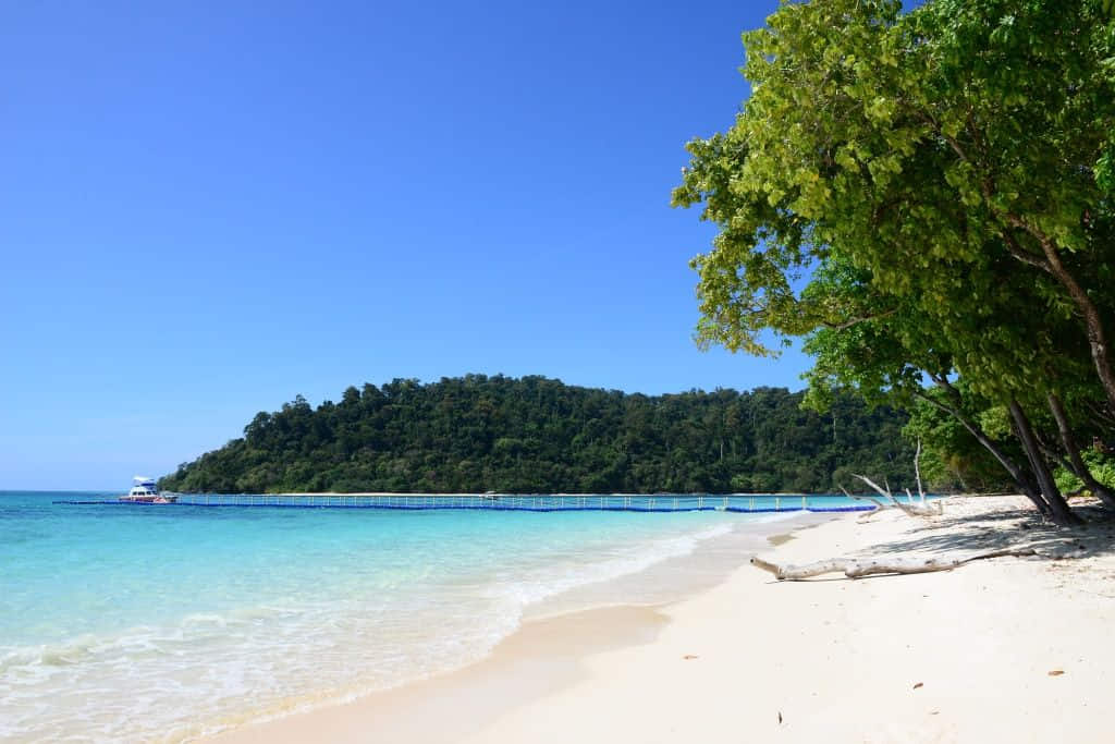 ที่เที่ยวกระบี่ เกาะรอก