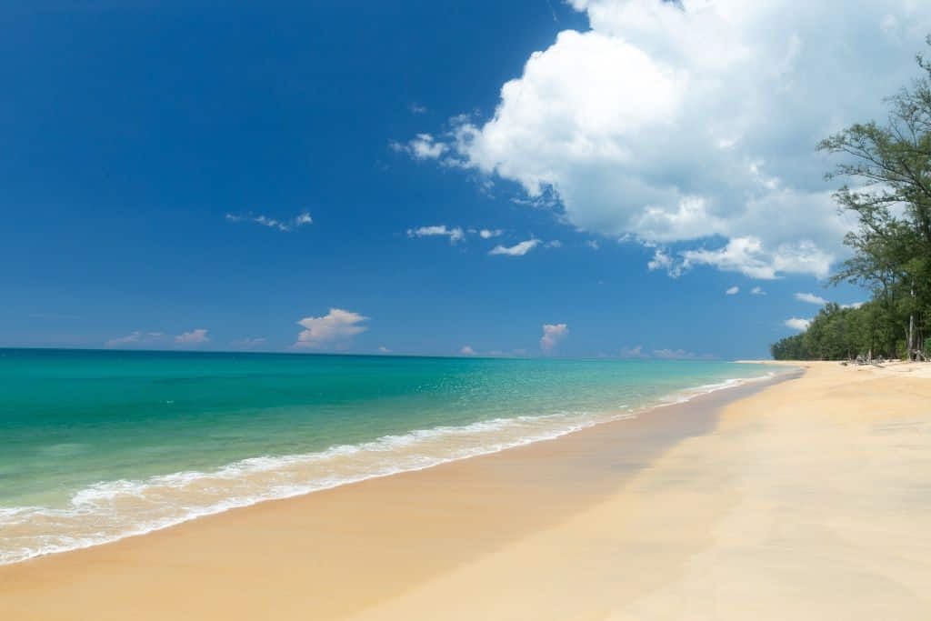 สถานที่เที่ยวภูเก็ต หาดไม้ขาว