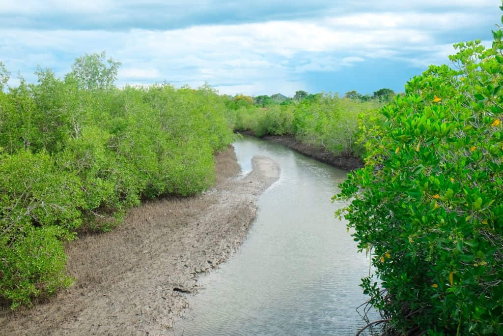 สถานที่เที่ยวหัวหิน อุทยานสิ่งแวดล้อมนานาชาติสิรินธร