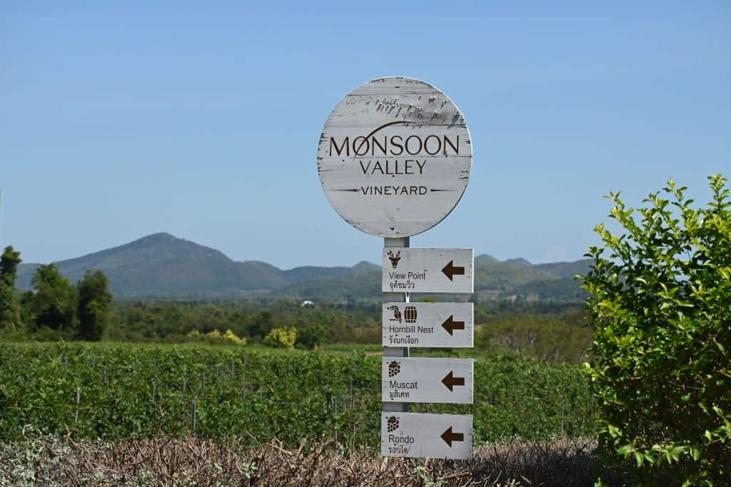 ที่เที่ยวหัวหิน Monsoon Valley Vineyard