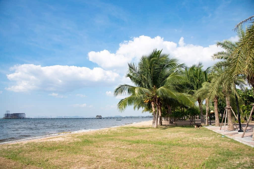 เที่ยวพัทยา 1 วัน หาดกระทิงลาย