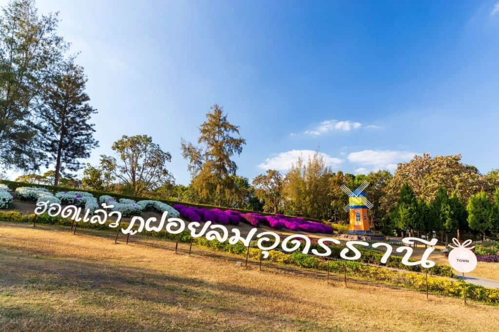 เส้นทางเดินศึกษาธรรมชาติที่ภูฝอยลม อำเภอหนองแสง อุดรธานี