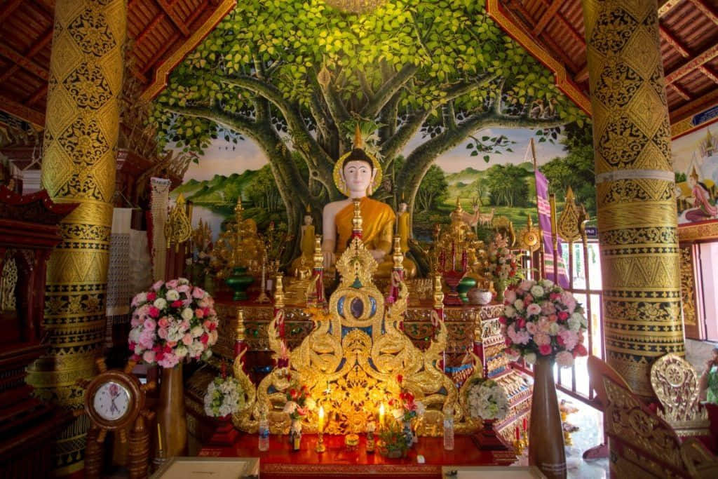 ระเบียงชมวิวทุ่งนาวัดภูเก็ต อำเภอปัว จังหวัดน่าน