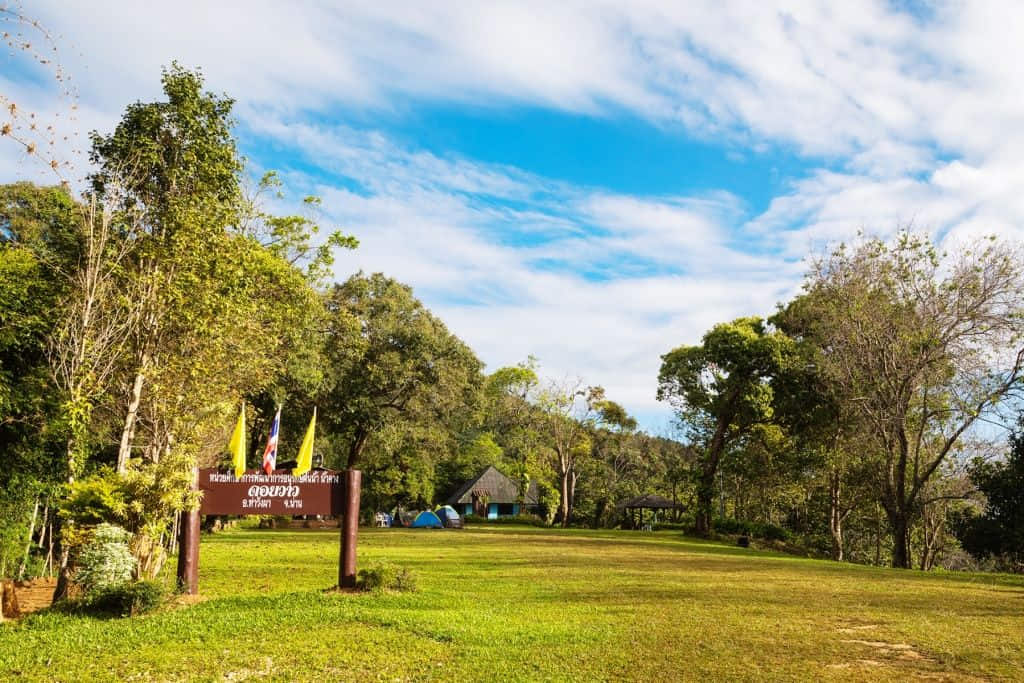 ป่าดิบเขาและเส้นทางศึกษาธรรมชาติในอุทยานแห่งชาตินันทบุรี จังหวัดน่าน