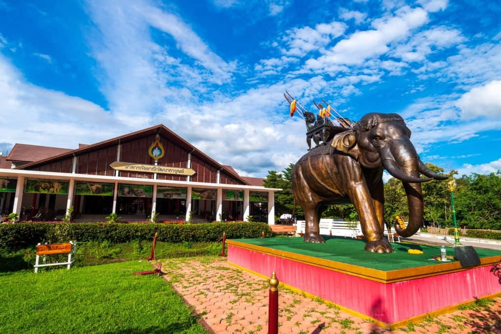 ช้างในศูนย์อนุรักษ์ช้างไทย ที่เที่ยวลำปางเชิงอนุรักษ์