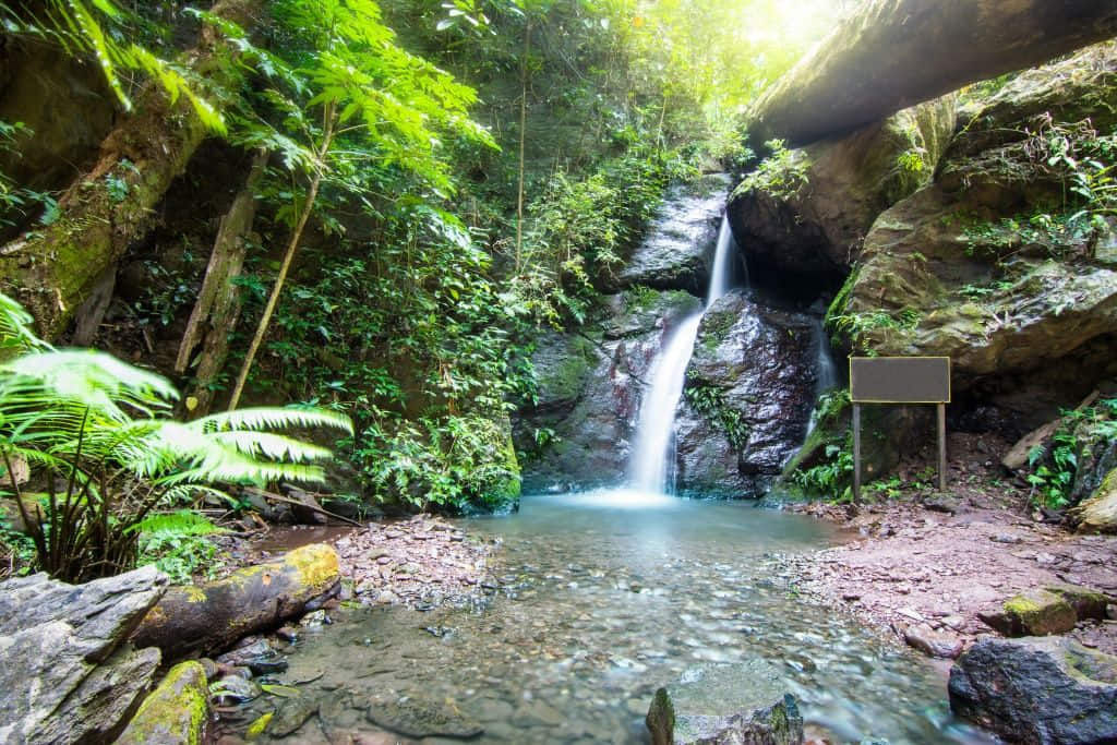 แอ่งน้ำใสที่น้ำตกจำปาทอง อุทยานแห่งชาติดอยหลวง พะเยา
