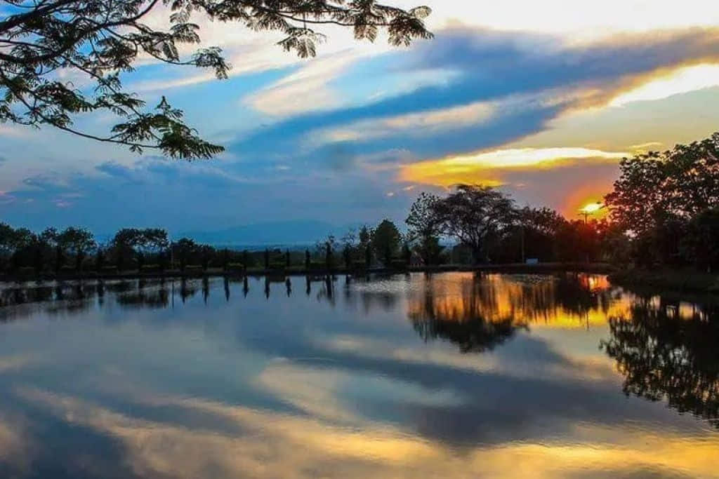 ทุ่งทานตะวันและอ่างเก็บน้ำห้วยชมพู อำเภอดอกคำใต้ จังหวัดพะเยา
