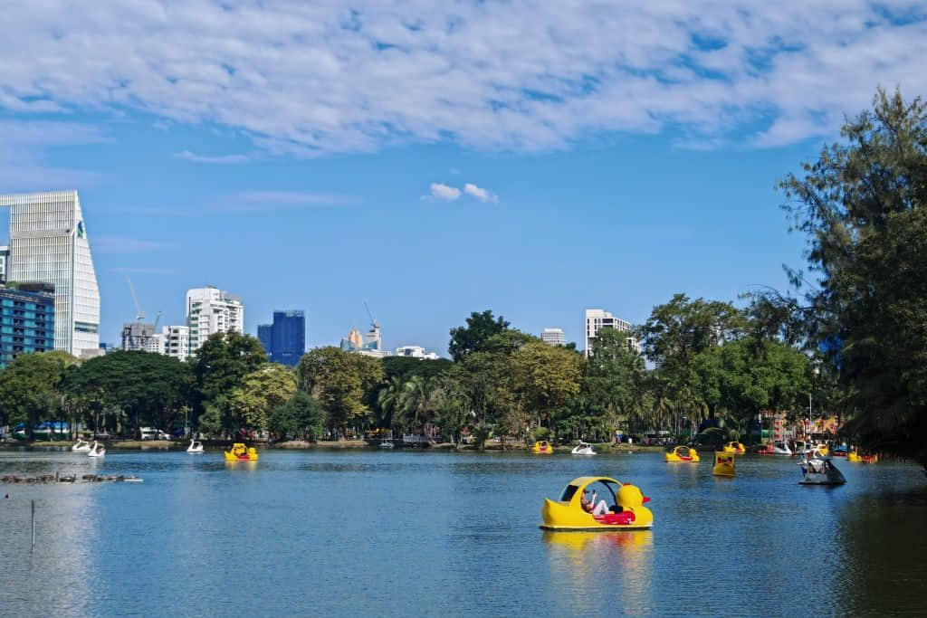 บึงพายเรือในสวนลุมพินี กรุงเทพที่เที่ยวสวนกลางเมือง