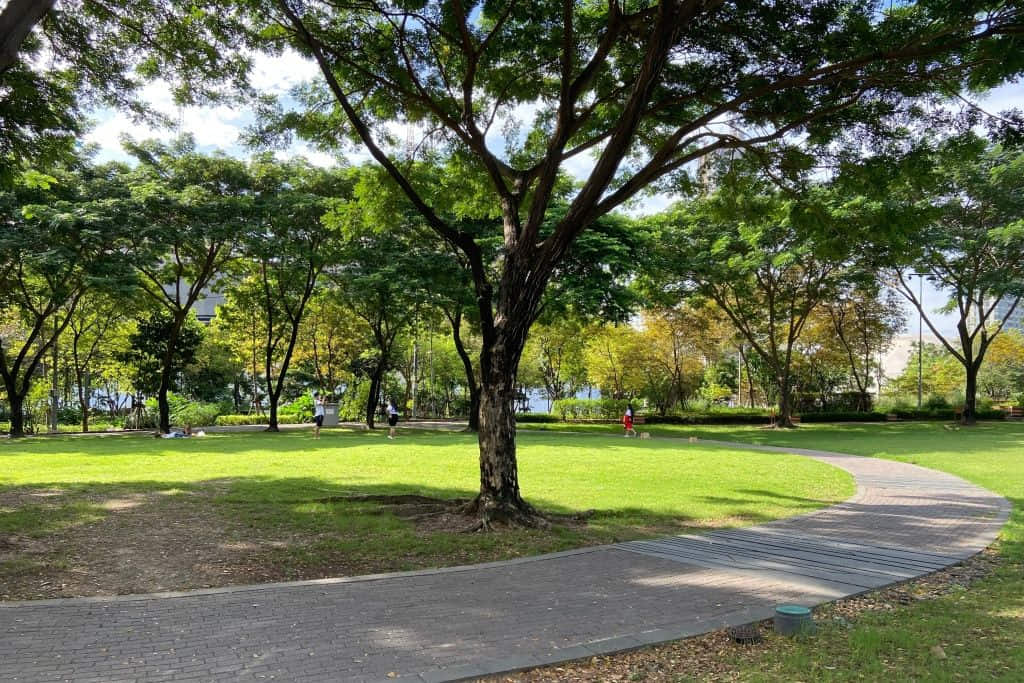 สนามหญ้าในอุทยาน 100 ปี จุฬาฯ เที่ยวกรุงเทพสวนใกล้สยาม