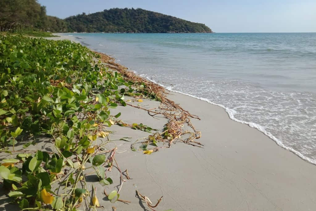 ลานหินขาวหาดแม่รำพึงยามเย็น ที่เที่ยวระยองริมทะเลยอดนิยม