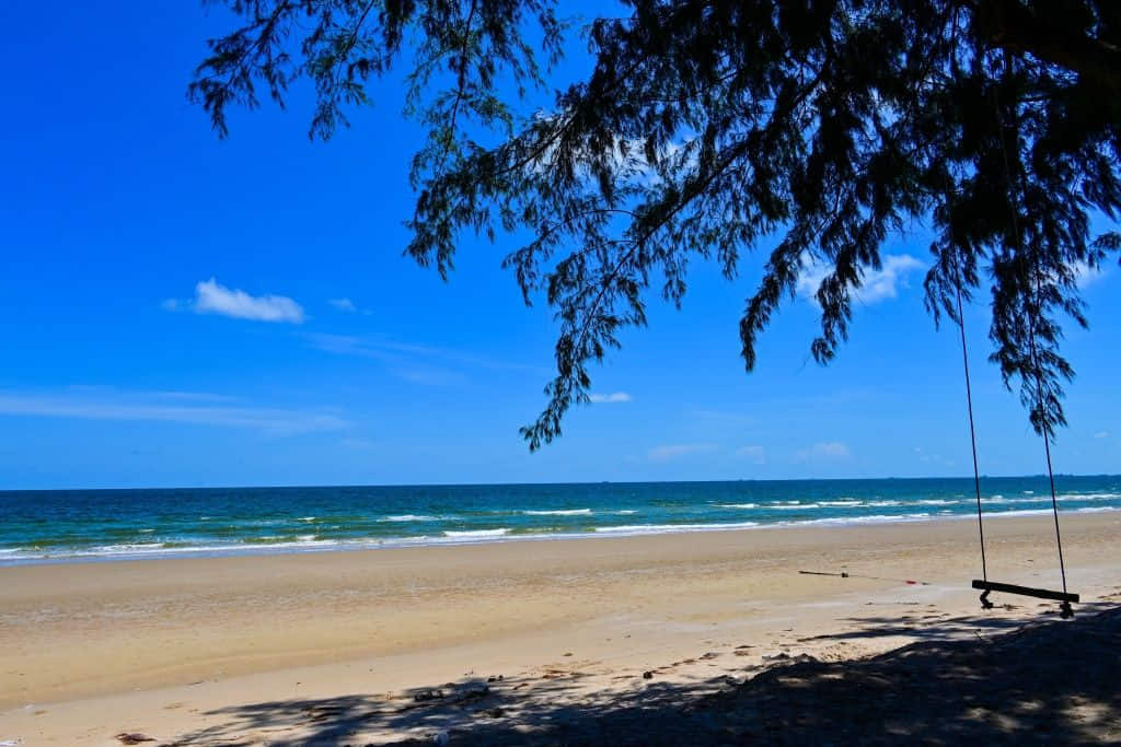 แนวสนทะเลริมหาดสวนสน เที่ยวระยองแบบครอบครัว