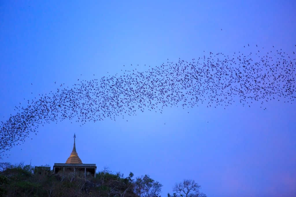 เที่ยวเขาใหญ่ที่วัดถ้ำศิลาทอง