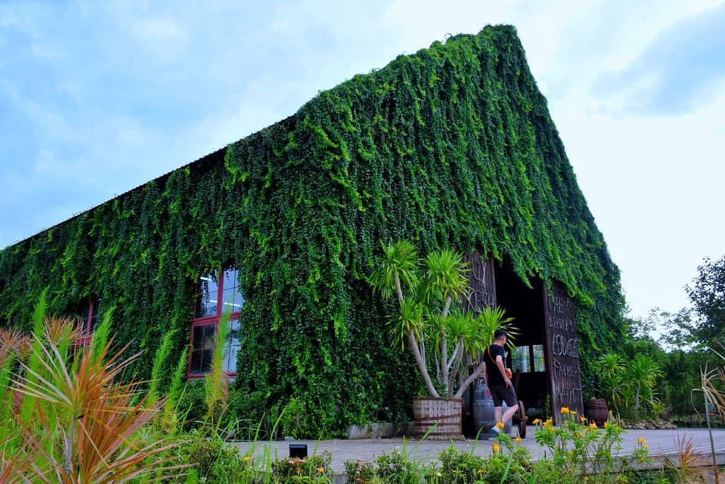 ที่เที่ยวเขาใหญ่สายออร์แกนิก The Birder's Lodge Farmer's Market