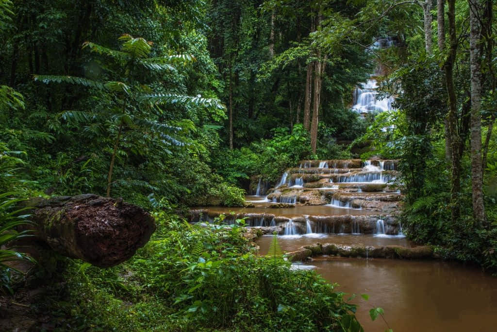 น้ำตกหินปูนลดหลั่นหลายชั้นที่อุทยานแห่งชาติน้ำตกพาเจริญ