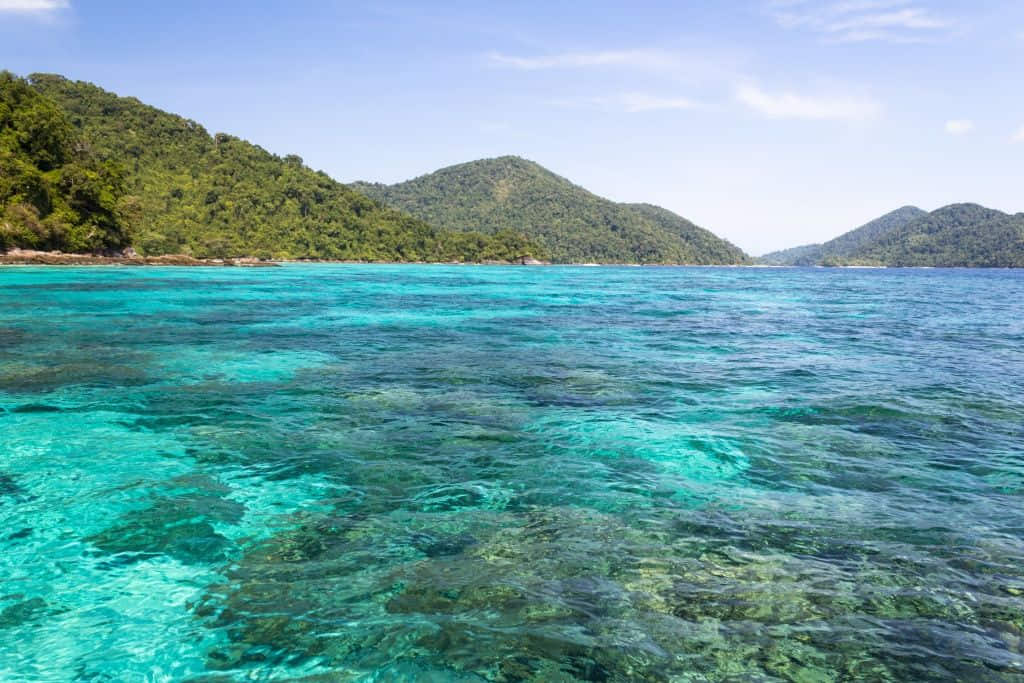 แนวปะการังน้ำตื้นที่หมู่เกาะสุรินทร์ อำเภอคุระบุรี พังงา