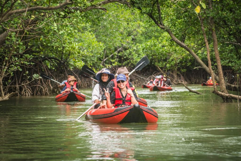 การพายคายักชมป่าชายเลนที่ชุมชนบ้านท่าดินแดง จังหวัดพังงา