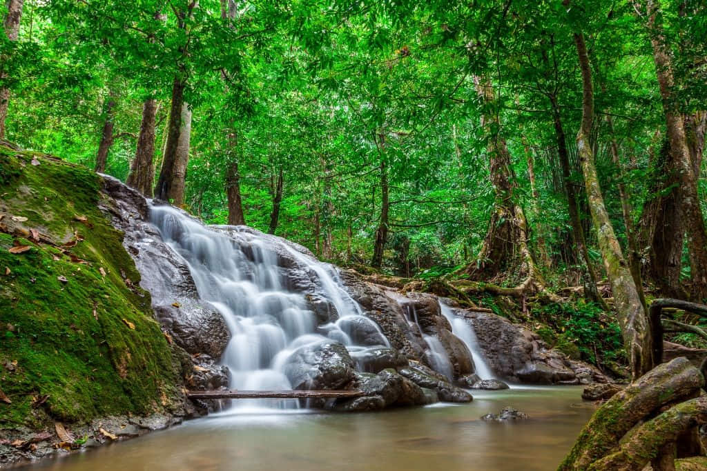 แอ่งน้ำลดหลั่นที่วนอุทยานสระนางมโนราห์ อำเภอเมืองพังงา