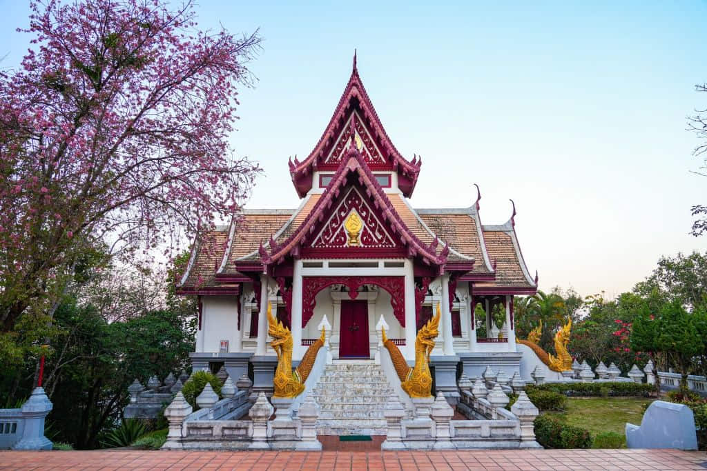 บันไดมังกรวัดสันติคีรี ที่เที่ยวดอยแม่สลองกลางหมู่บ้าน