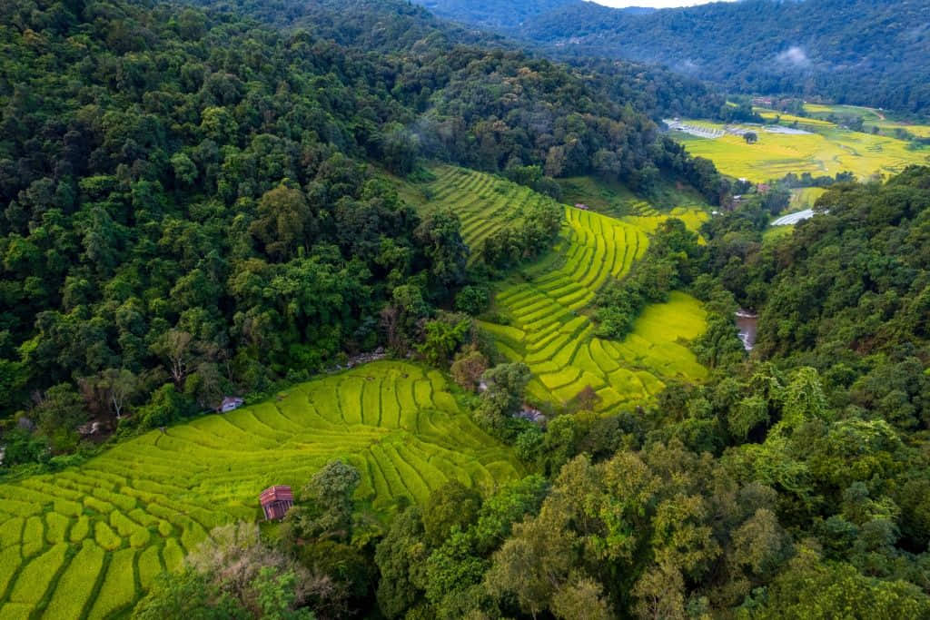นาขั้นบันไดของชาวปกาเกอะญอที่บ้านแม่กลางหลวง ดอยอินทนนท์