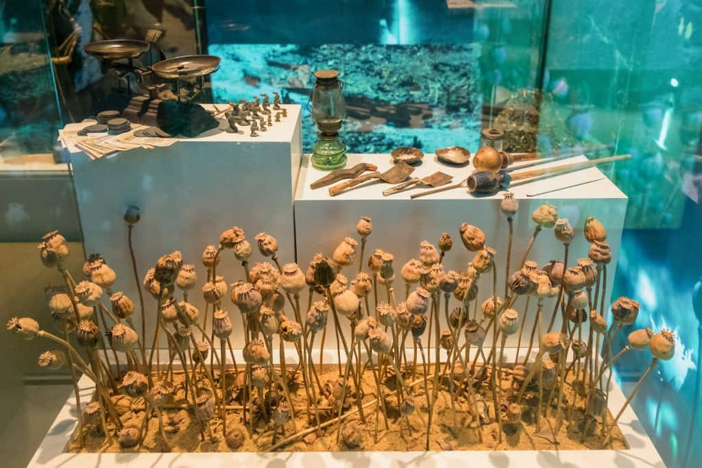 ห้องจัดแสดงในหอฝิ่น อุทยานสามเหลี่ยมทองคำ จังหวัดเชียงราย