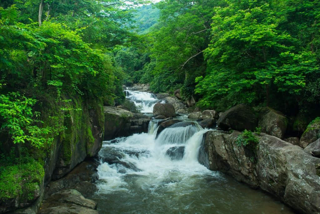 ลานหินและแอ่งน้ำตื้นที่น้ำตกนางรอง เที่ยวนครนายกแบบครอบครัว