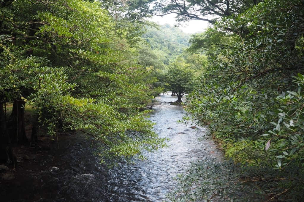 ลำธารและสวนร่มรื่นในวังตะไคร้ ที่เที่ยวนครนายกสายกิจกรรม