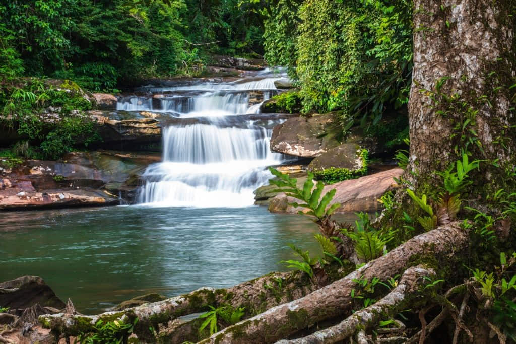 สายน้ำตกตาดขามในอุทยานแห่งชาติภูลังกา จังหวัดนครพนม