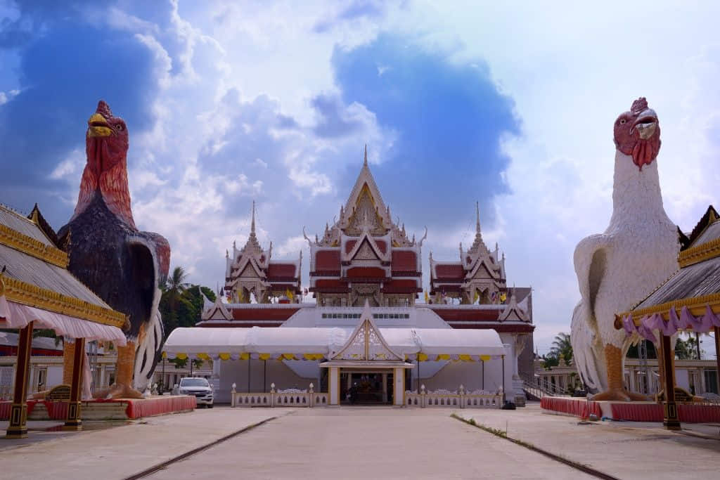 รูปไอ้ไข่ในวัดเจดีย์ อำเภอสิชล นครศรีธรรมราชที่เที่ยวสายมู
