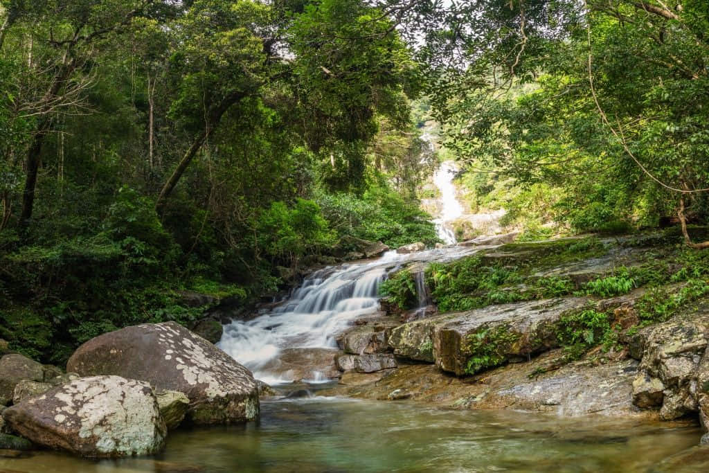 ป่าดิบชื้นและทิวเขาในอุทยานแห่งชาติเขาหลวง จังหวัดนครศรีธรรมราช