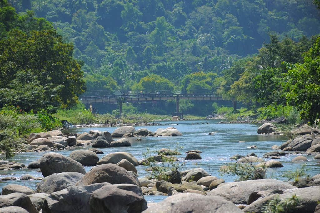 สะพานข้ามลำธารที่บ้านคีรีวง จุดถ่ายรูปหลักของหมู่บ้าน
