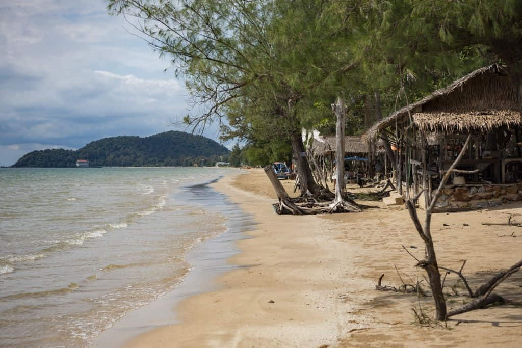 ชายหาดยาวและแนวสนที่หาดเจ้าหลาว จังหวัดจันทบุรี