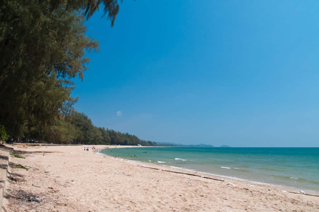 แนวสนและชายหาดที่หาดแหลมเสด็จ อำเภอท่าใหม่ จันทบุรี