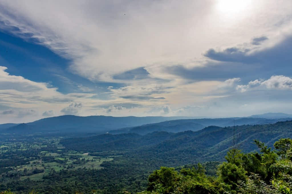 ป่าลานและผืนป่าดิบในอุทยานแห่งชาติทับลาน อำเภอนาดี ปราจีนบุรี