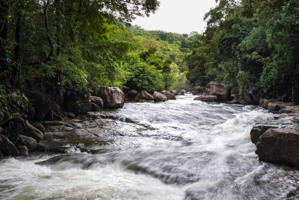 สายน้ำตกธารทิพย์กลางป่าดิบชื้น จังหวัดปราจีนบุรี