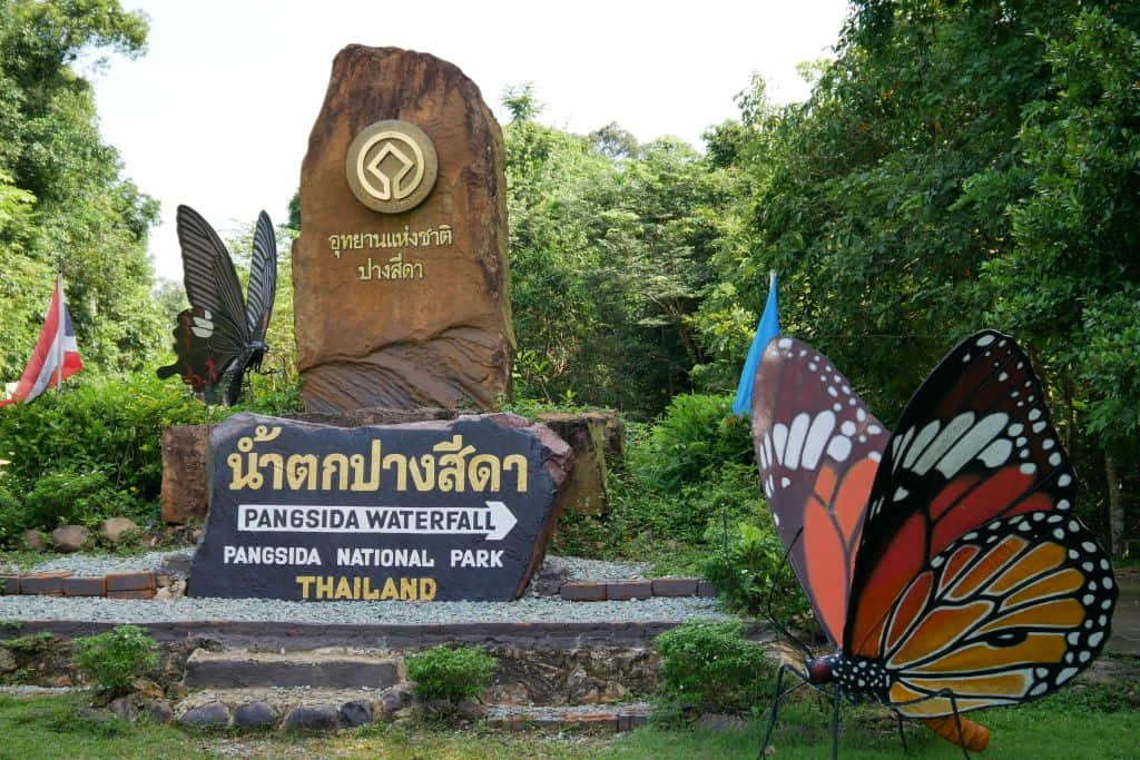 ผีเสื้อในอุทยานแห่งชาติปางสีดา ที่เที่ยวสระแก้วสายธรรมชาติ
