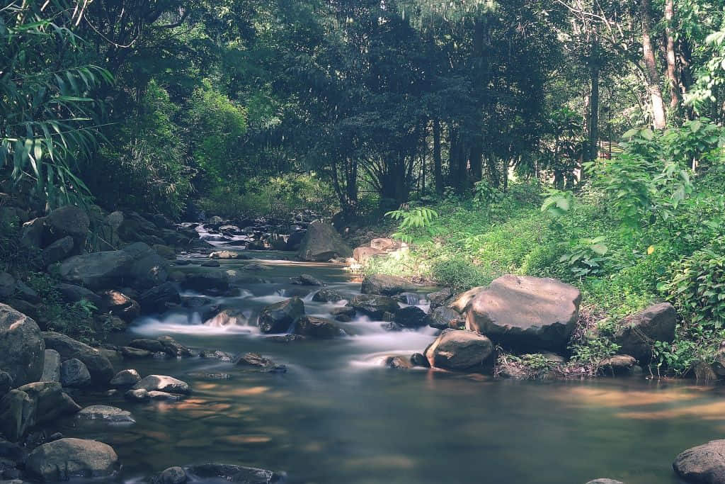 สายน้ำตกคลองแก้วในป่าดิบชื้น อำเภอบ่อไร่ จังหวัดตราด