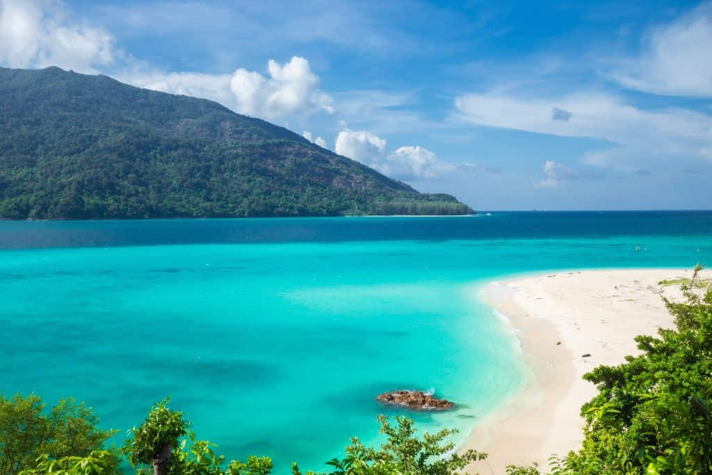 หาดทรายขาวและน้ำทะเลใสที่เกาะหลีเป๊ะ ที่เที่ยวสตูลอันดับหนึ่ง
