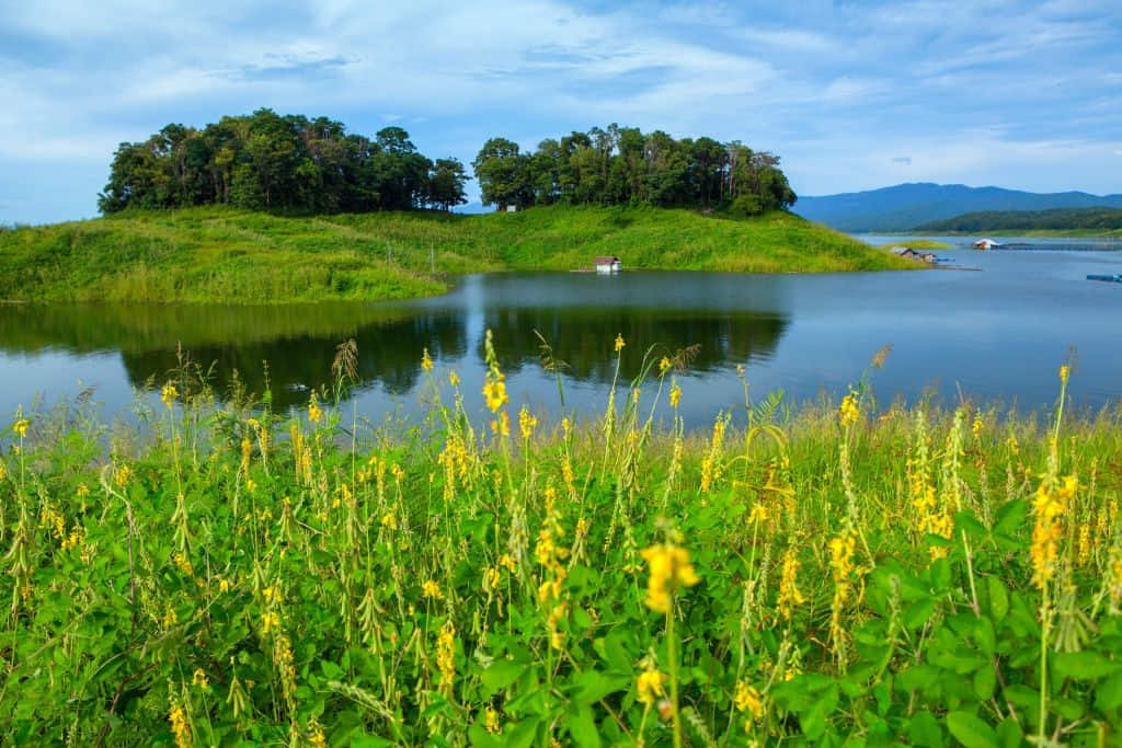 ผืนน้ำและแนวเขาในอุทยานแห่งชาติลำน้ำน่าน อำเภอท่าปลา
