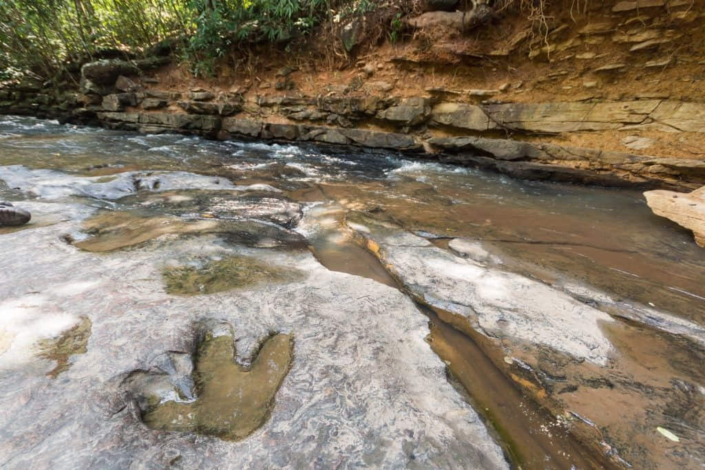 รอยเท้าไดโนเสาร์บนลานหินที่วนอุทยานภูแฝก อำเภอนาคู กาฬสินธุ์