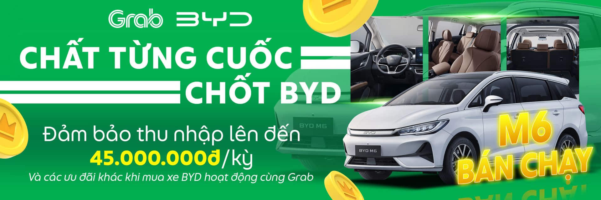 BYD M6