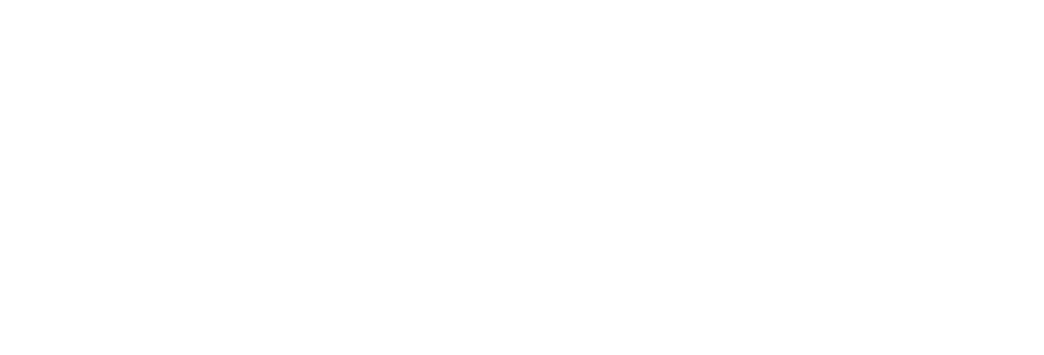 GFIN