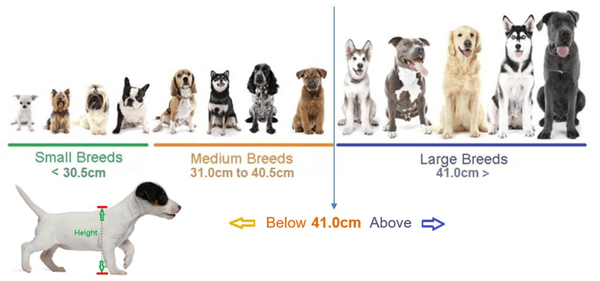 animal classification dogs bullfrog bookz animal classification dogs bullfrog bookz
